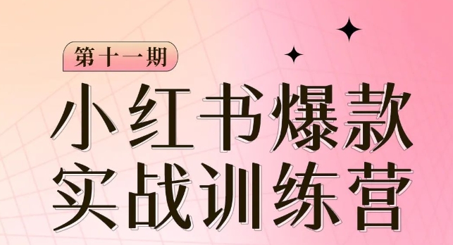 小红书博主爆款训练营第11期，手把手教你从0-1做小红书，从定位到起号到变现-木石资源网