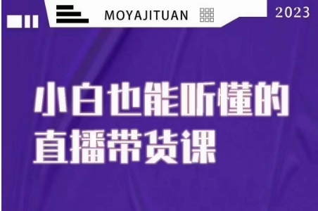 大威本威·能听懂的直播带货课，小白也能听懂，20节完整-木石资源网