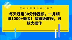 每天观看30分钟视频，一月躺赚1000+美金！保姆级教程，可放大操作【揭秘】-木石资源网