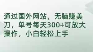 通过国外网站，无脑赚美刀，单号每天300+可放大操作，小白轻松上手【揭秘】-木石资源网