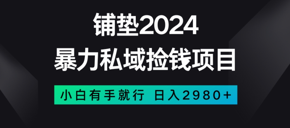 暴力私域捡钱项目，小白无脑操作，日入2980【揭秘】-木石资源网