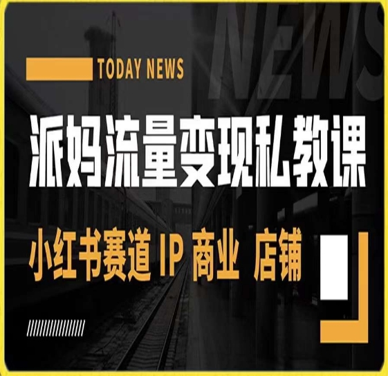 派妈流量变现私教课，小红书赛道IP  商业  店铺 -木石资源网