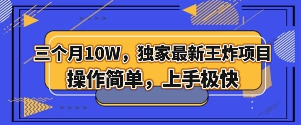 三个月10W，独家最新王炸项目！操作简单，上手极快【揭秘】-木石资源网