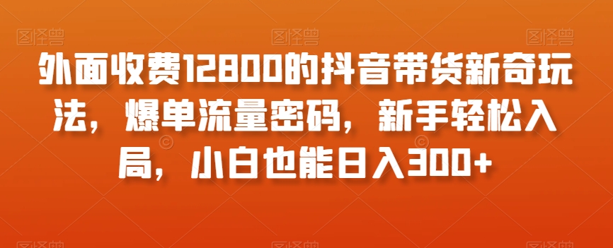 外面收费12800的抖音带货新奇玩法，爆单流量密码，新手轻松入局，小白也能日入300+【揭秘】-木石资源网