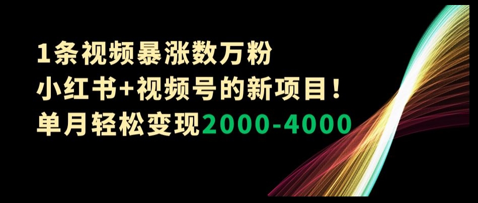 1条视频暴涨数万粉–小红书+视频号的新项目！单月轻松变现2000-4000【揭秘】-木石资源网