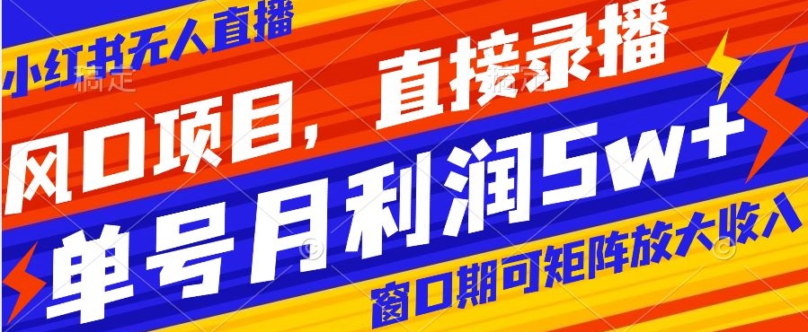 风口项目，小红书无人直播带货，直接录播，可矩阵，月入5w+【揭秘】-木石资源网