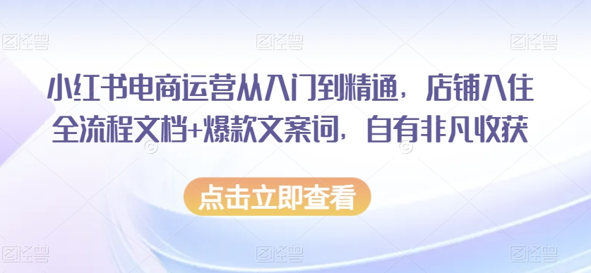 小红书电商运营从入门到精通，店铺入住全流程文档+爆款文案词，自有非凡收获-木石资源网