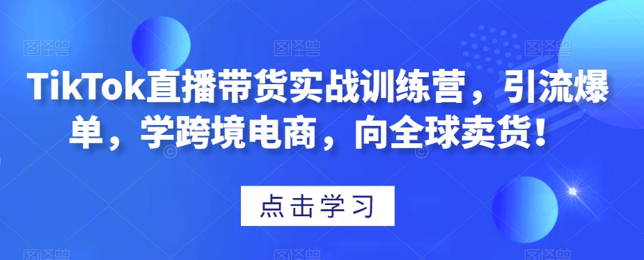 TikTok直播带货实战训练营，引流爆单，学跨境电商，向全球卖货！-木石资源网