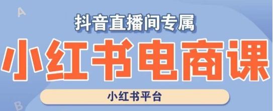 小红书电商高级运营课程，实操教学+案例分析-木石资源网