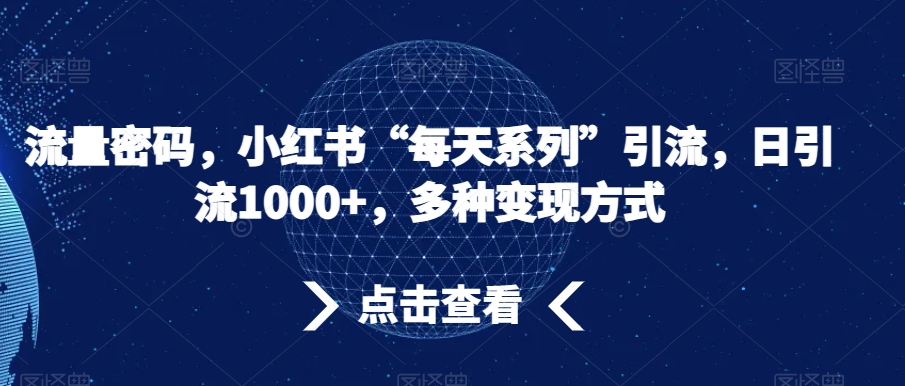 流量密码，小红书“每天系列”引流，日引流1000+，多种变现方式【揭秘】-木石资源网