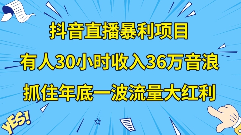 抖音直播暴利项目，有人30小时收入36万音浪，公司宣传片年会视频制作，抓住年底一波流量大红利【揭秘】-木石资源网