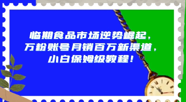 临期食品市场逆势崛起，万粉账号月销百万新渠道，小白保姆级教程【揭秘】-木石资源网