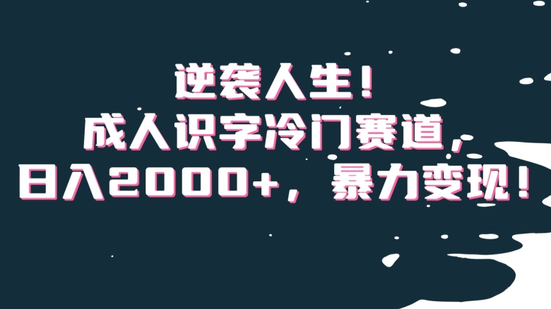 逆袭人生！成人识字冷门赛道，日入2000+，暴力变现！【揭秘】-木石资源网