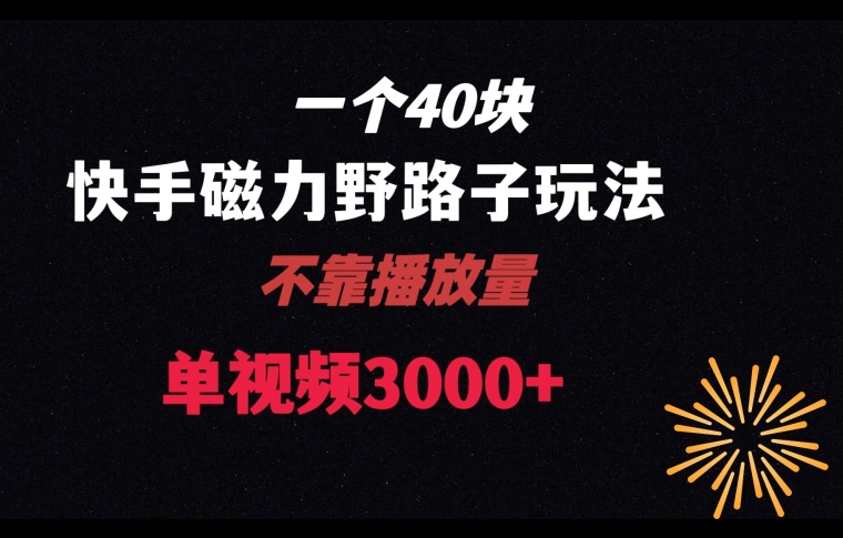 一个40块，快手联合美团磁力新玩法，无视机制野路子玩法，单视频收益4位数【揭秘】-木石资源网
