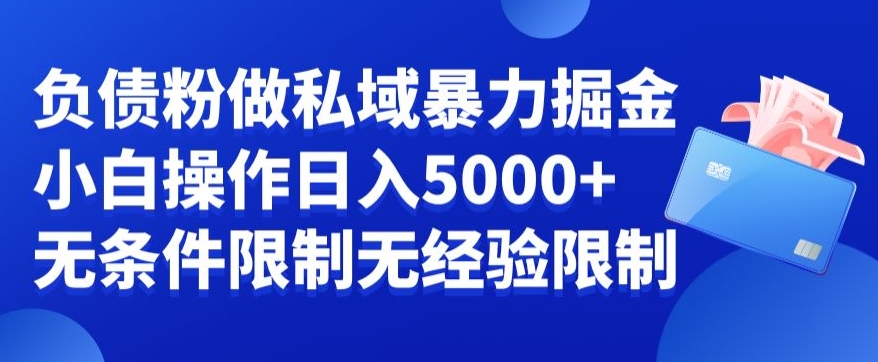 负债粉私域暴力掘金，小白操作入5000，无经验限制，无条件限制【揭秘】-木石资源网