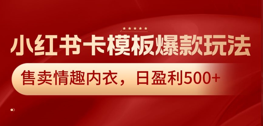 小红书卡模板爆款玩法，售卖情趣内衣，日盈利500+【揭秘】-木石资源网