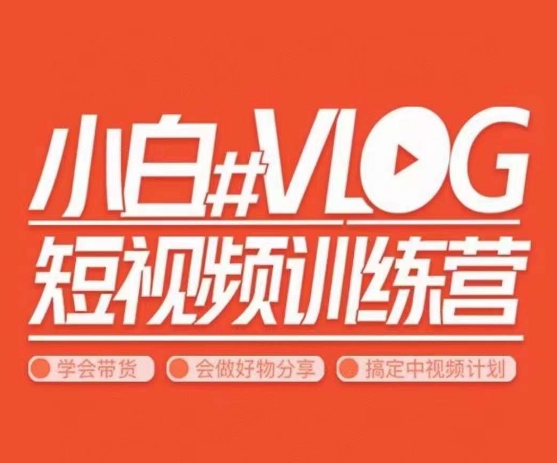 小呆说视–小白VLOG短视频训练营，学会带货、好物、直播、中视频-木石资源网