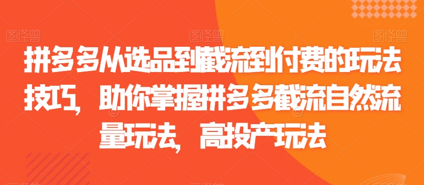 拼多多从选品到截流到付费的玩法技巧，助你掌握拼多多截流自然流量玩法，高投产玩法-木石资源网