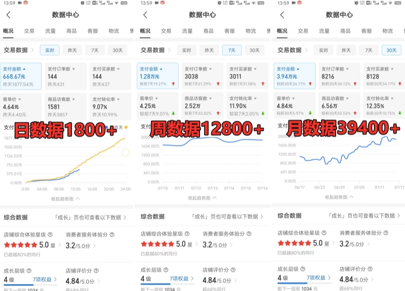拼多多虚拟电商训练营月入30000+你也行，暴利稳定长久，副业首选-木石资源网