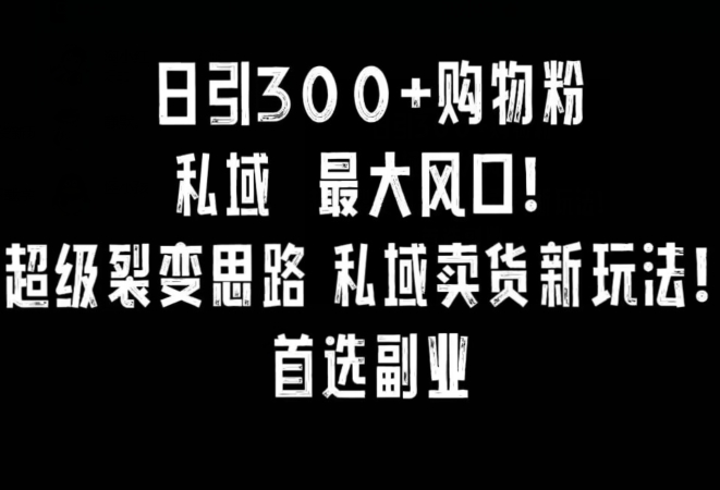 日引300+购物粉，超级裂变思路，私域卖货新玩法，小红书首选副业【揭秘】-木石资源网