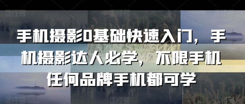 手机摄影0基础快速入门，手机摄影达人必学，不限手机任何品牌手机都可学-木石资源网