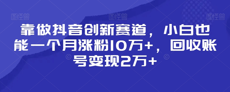 靠做抖音创新赛道，小白也能一个月涨粉10万+，回收账号变现2万+【揭秘】-木石资源网