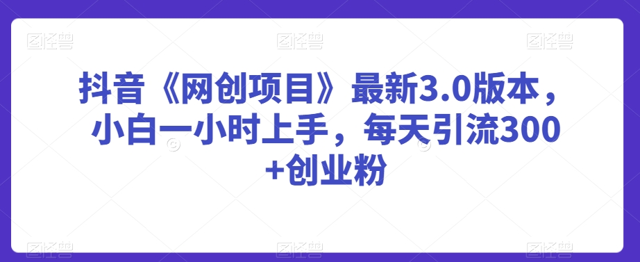 抖音《网创项目》最新3.0版本，小白一小时上手，每天引流300+创业粉【揭秘】-木石资源网