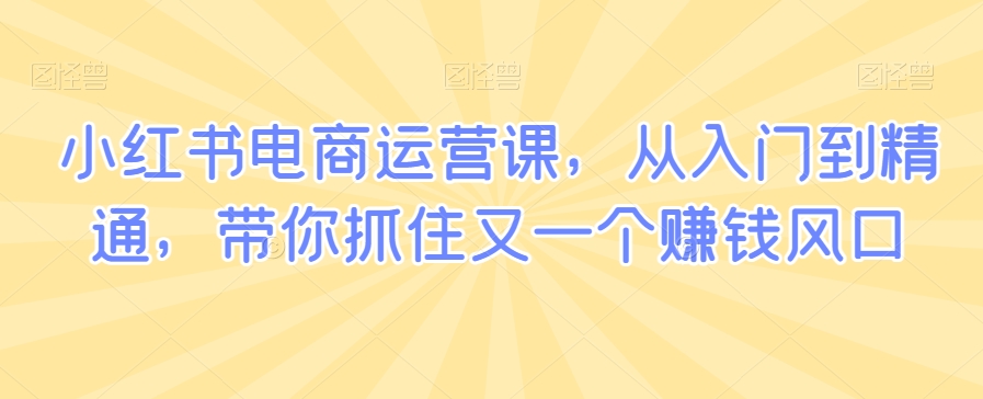 小红书电商运营课，从入门到精通，带你抓住又一个赚钱风口-木石资源网