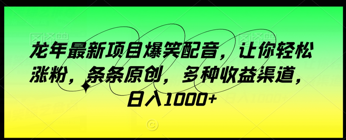 龙年最新项目爆笑配音，让你轻松涨粉，条条原创，多种收益渠道，日入1000+【揭秘】-木石资源网