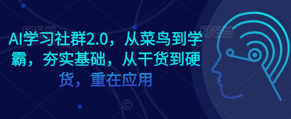 AI学习社群2.0，从菜鸟到学霸，夯实基础，从干货到硬货，重在应用-木石资源网