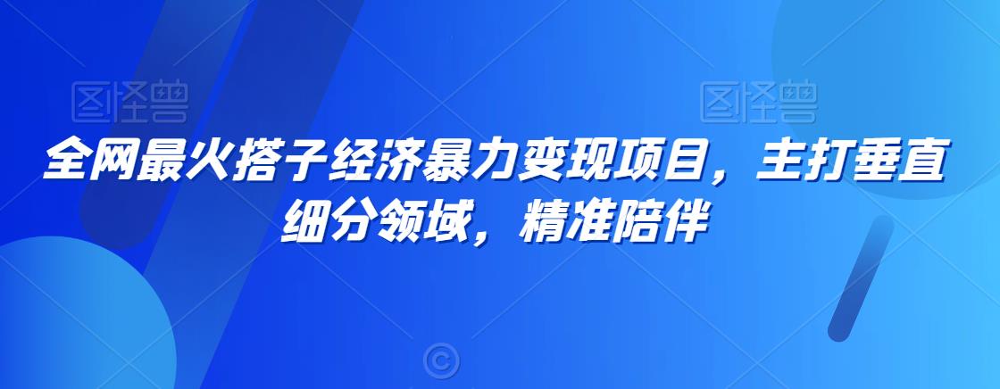 全网最火搭子经济暴力变现项目，主打垂直细分领域，精准陪伴【揭秘】-木石资源网