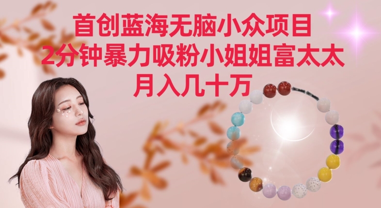 首创蓝海无脑小众项目，2分钟暴力吸粉小姐姐富太太，月入几十万【揭秘】-木石资源网