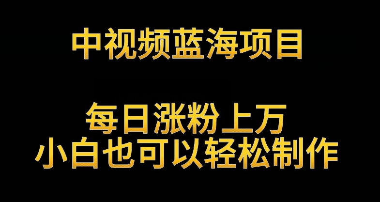 中视频蓝海项目，解读英雄人物生平，每日涨粉上万，小白也可以轻松制作，月入过万不是梦【揭秘】-木石资源网