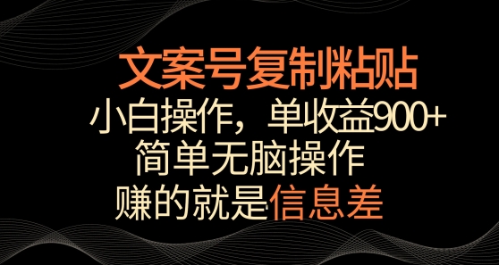 文案号掘金，简单复制粘贴，小白操作，单作品收益900+【揭秘】-木石资源网