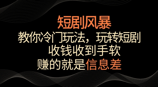 短剧风暴，教你冷门玩法，玩转短剧，收钱收到手软【揭秘】-木石资源网