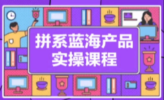 拼系冷门蓝海产品实操课程，从注册店铺到选品上架到流量维护环环相扣-木石资源网