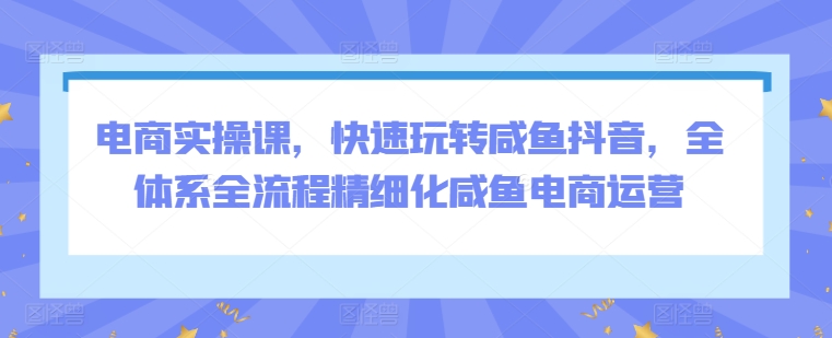 电商实操课，快速玩转咸鱼抖音，全体系全流程精细化咸鱼电商运营-木石资源网