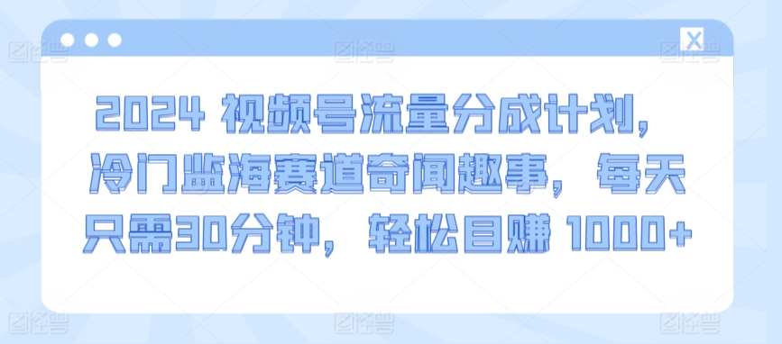 2024视频号流量分成计划，冷门监海赛道奇闻趣事，每天只需30分钟，轻松目赚 1000+【揭秘】-木石资源网