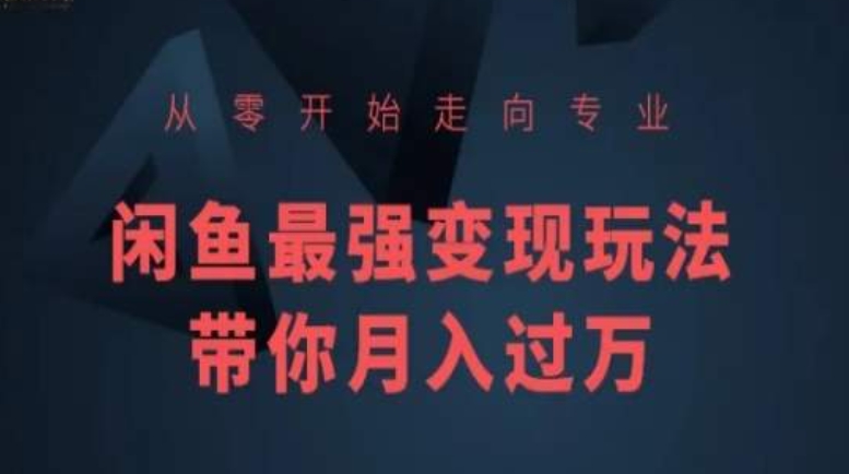 从零开始走向专业，闲鱼最强变现玩法带你月入过万-木石资源网
