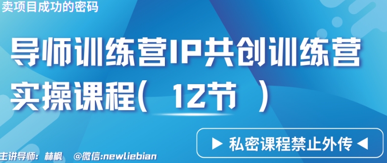 导师训练营3.0IP共创训练营私密实操课程（12节）-卖项目的密码成功秘诀【揭秘】-木石资源网