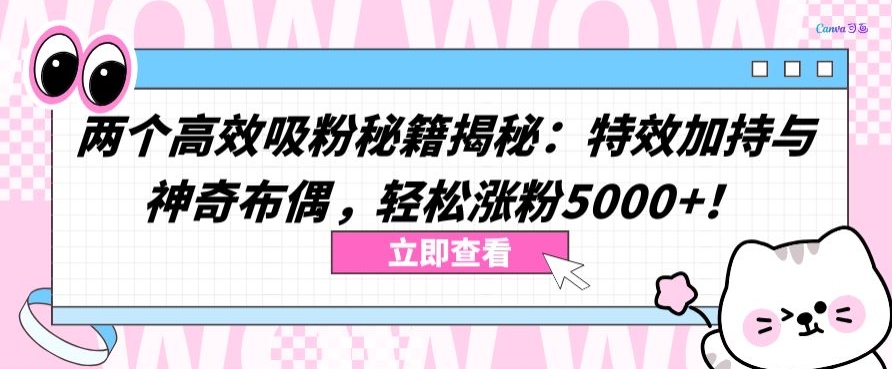 两个高效吸粉秘籍揭秘：特效加持与神奇布偶，轻松涨粉5000+【揭秘】-木石资源网