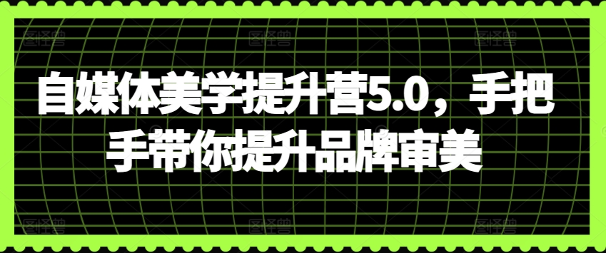 自媒体美学提升营5.0，手把手带你提升品牌审美-木石资源网
