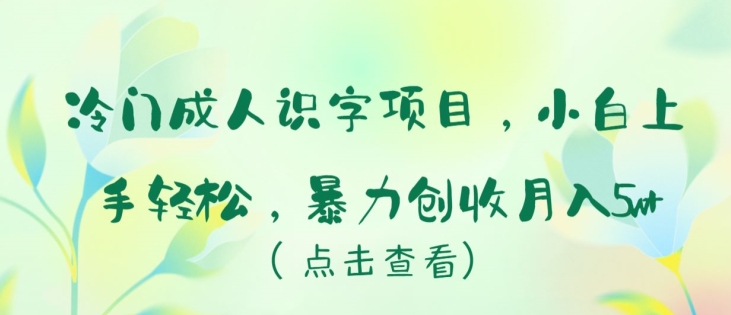 冷门成人识字项目，小白上手轻松，暴力创收月入5w+【揭秘】-木石资源网