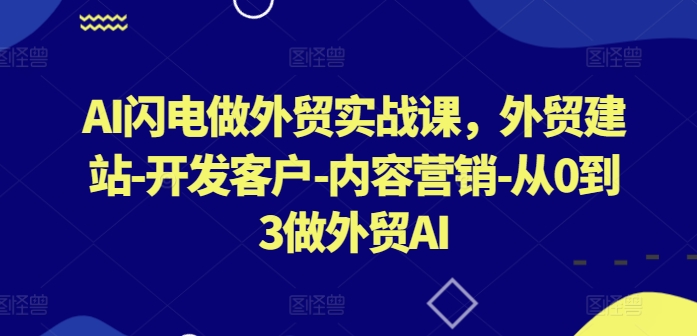 AI闪电做外贸实战课，​外贸建站-开发客户-内容营销-从0到3做外贸AI-木石资源网