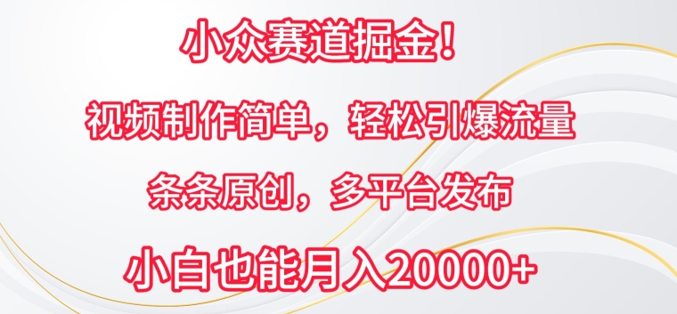 小众赛道掘金，视频制作简单，轻松引爆流量，条条原创，多平台发布【揭秘】-木石资源网