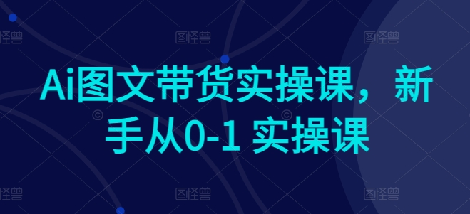Ai图文带货实操课，新手从0-1 实操课-木石资源网