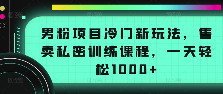 男粉项目冷门新玩法，售卖私密训练课程，一天轻松1000+【揭秘】-木石资源网