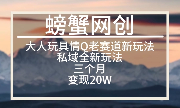 大人玩具情Q用品赛道私域全新玩法，三个月变现20W，老项目新思路【揭秘】-木石资源网