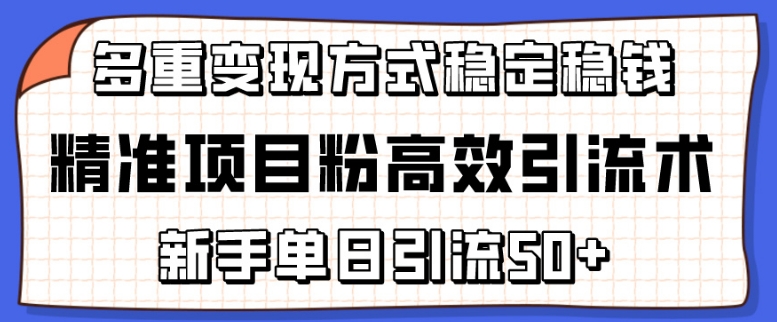 精准项目粉高效引流术，新手单日引流50+，多重变现方式稳定赚钱【揭秘】-木石资源网