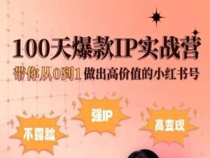 小红书100天爆款IP实战营，带你从0到1做出高价值的小红书号-木石资源网
